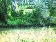 Waterford QLD 4133