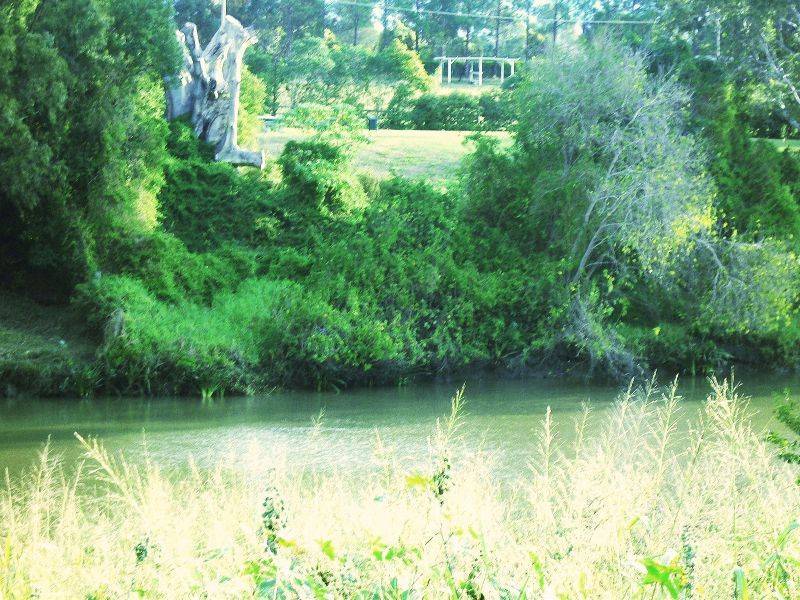 Waterford QLD 4133