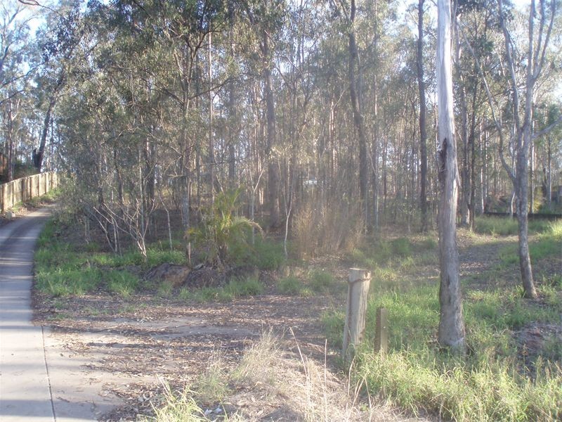 49   Jones Rd, Bellbird Park QLD 4300