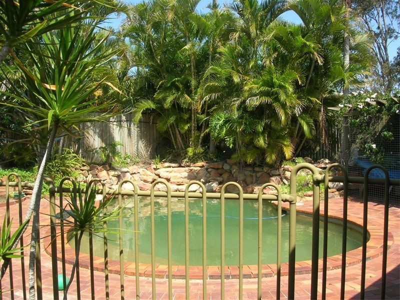 16  Merriwa Street, Sunnybank Hills QLD 4109