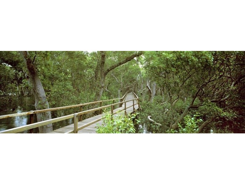 65 Warra Street, Wynnum QLD 4178