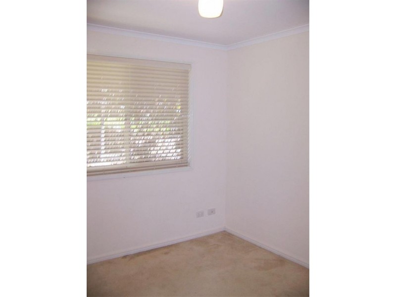 43 Carbeen Street, Bulimba QLD 4171