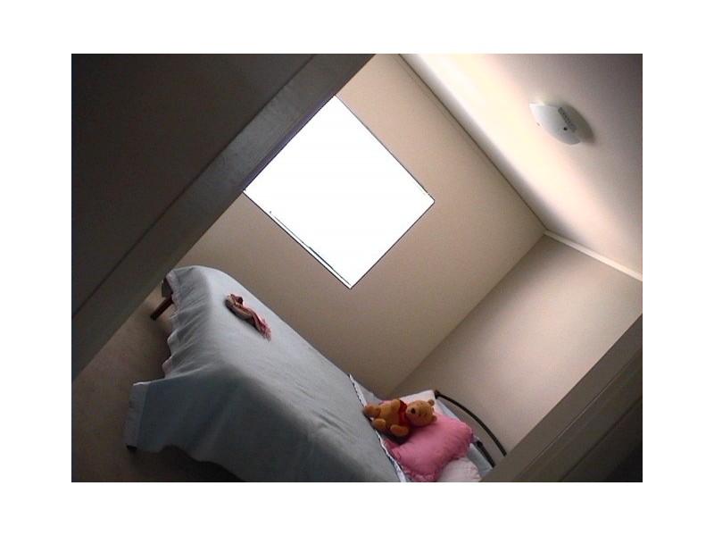 21 Love Street, Bulimba QLD 4171