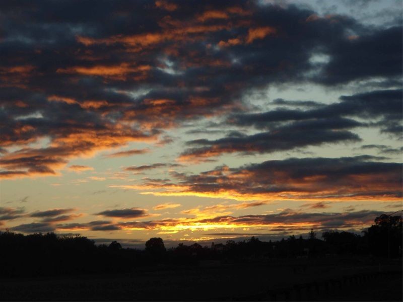 11 Victor Street, Birkdale QLD 4159