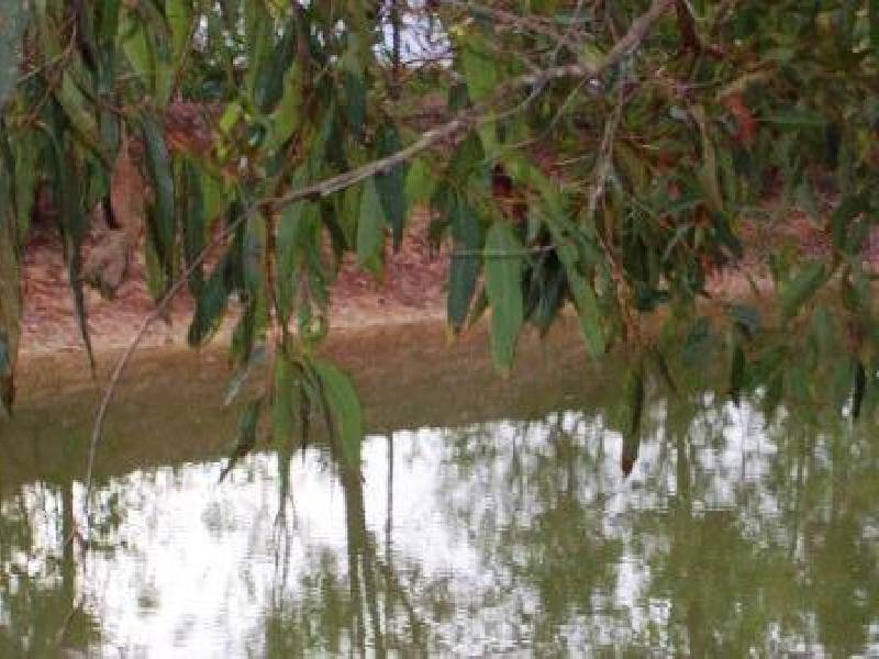 279 Newlands Road, Wamuran QLD 4512