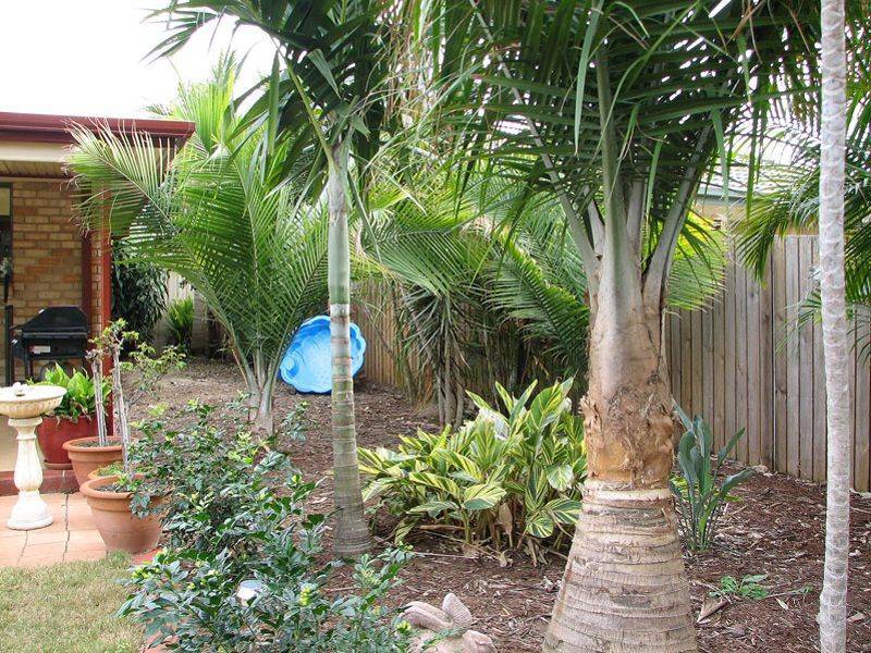 44  DUNDEE STREET, Bray Park QLD 4500