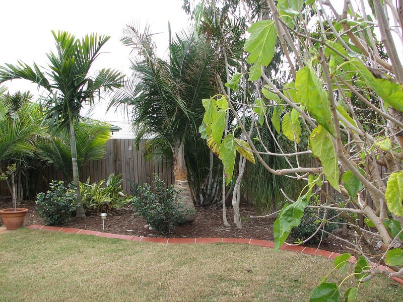 44  DUNDEE STREET, Bray Park QLD 4500