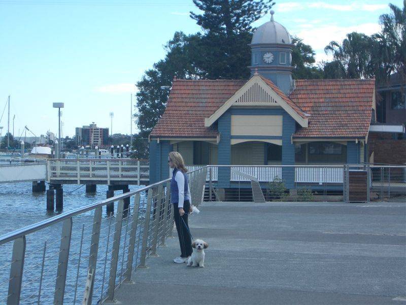 24 Riddell Street, Bulimba QLD 4171