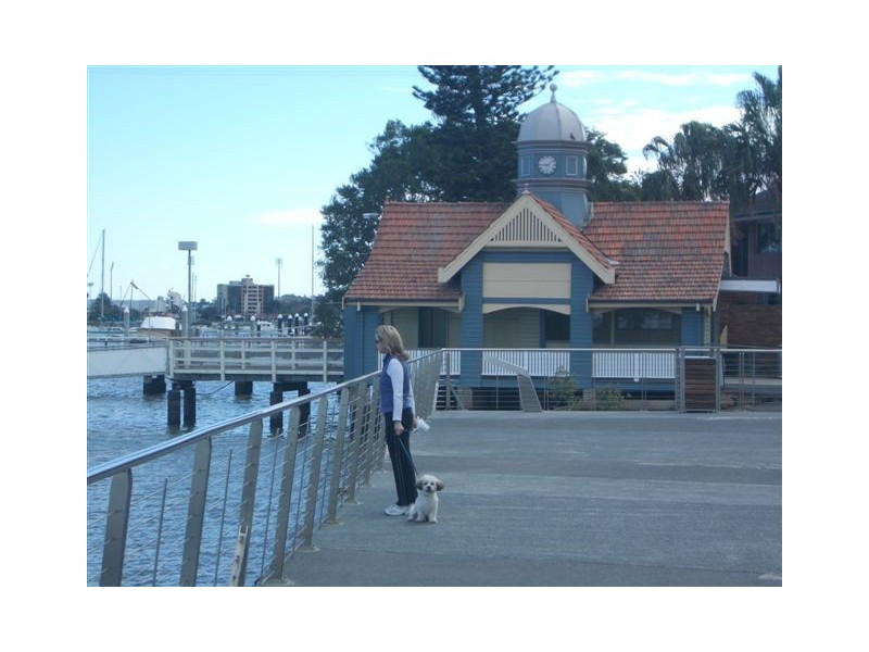 24 Riddell Street, Bulimba QLD 4171