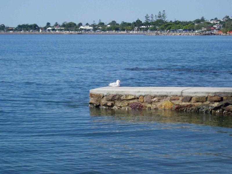 Level One 78 Berrima Street Level 1, Wynnum QLD 4178