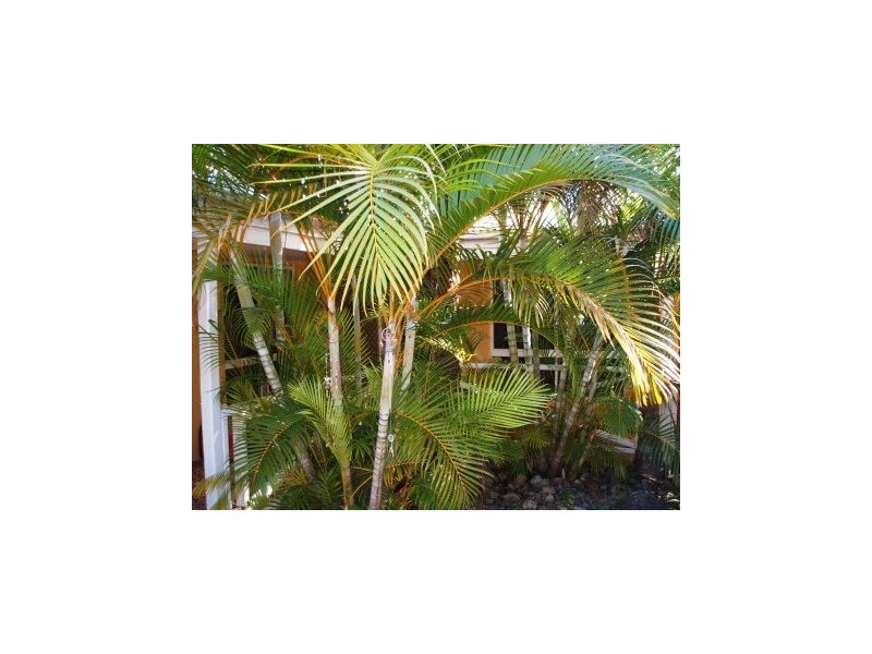 39  keith Royal Drive, Marcoola QLD 4564