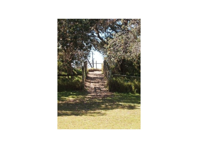 923  David Low Way, Marcoola QLD 4564