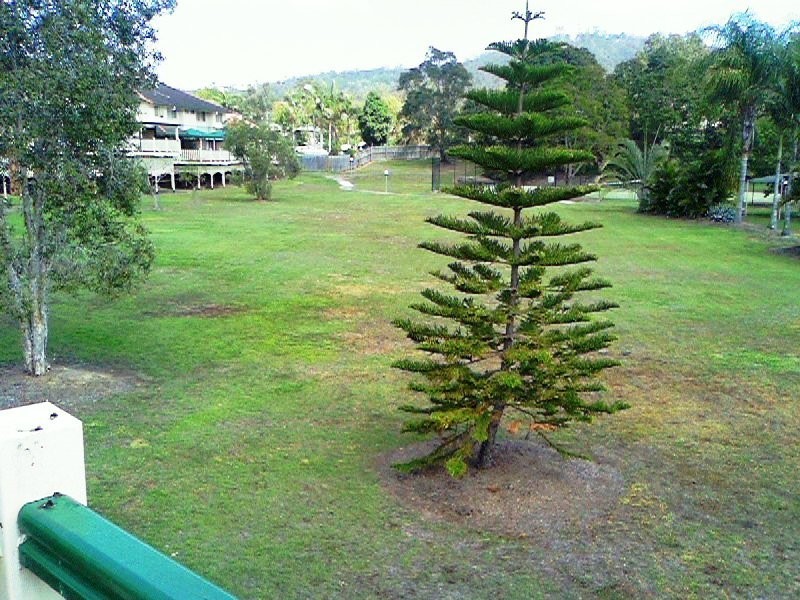 19/60 Marlene Street, Mount Gravatt East QLD 4122