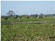 78  Padbury Street, Hemmant QLD 4174