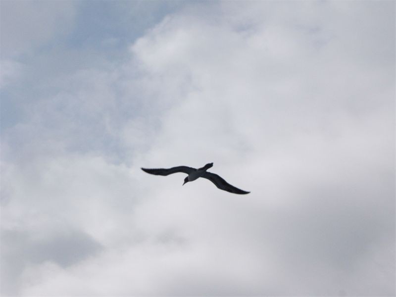 17  Skull Rd and Kowinka, Cairns QLD 4870