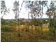 Ipswich QLD 4305