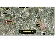 Ipswich QLD 4305