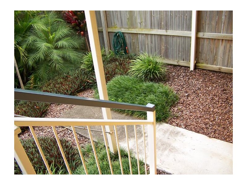 1/24 Collings Street, Balmoral QLD 4171