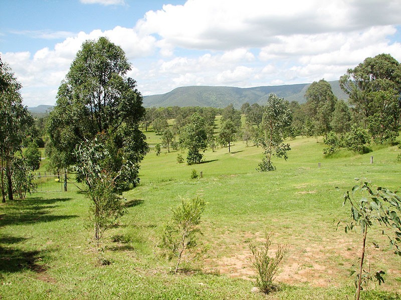 21  Shapland Drive, Woodford QLD 4514