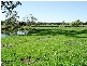 Palmview QLD 4553