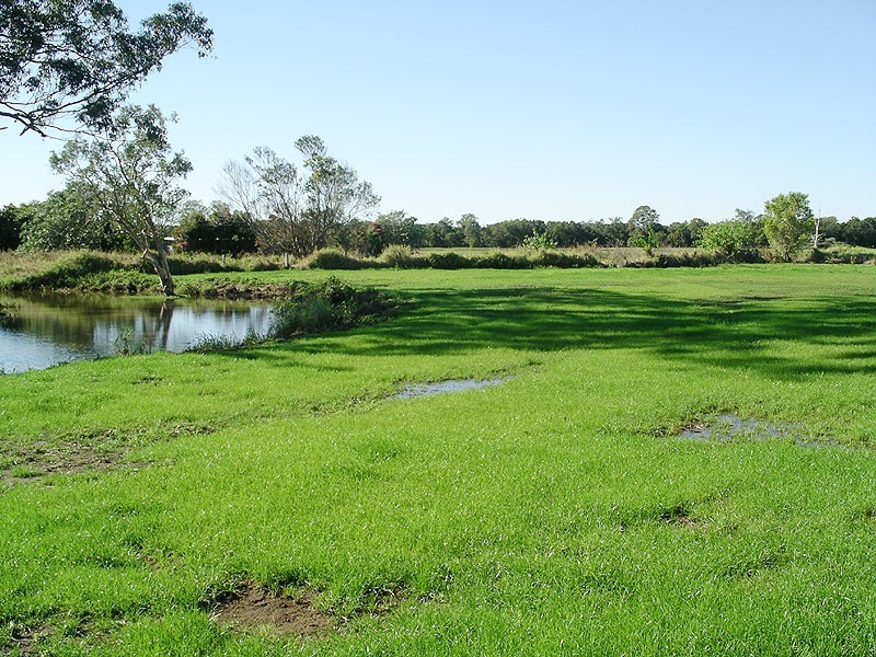 Palmview QLD 4553
