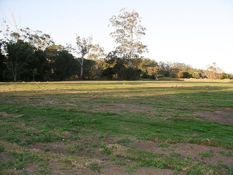 Palmview QLD 4553