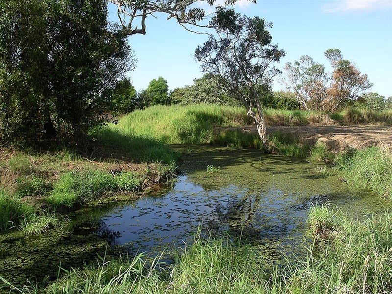 Palmview QLD 4553