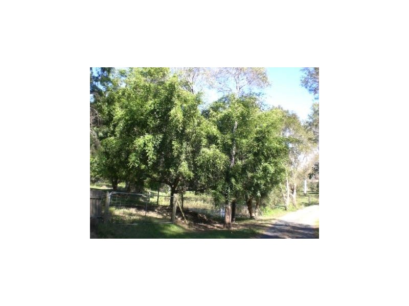 97  Petersen Road, Morayfield QLD 4506
