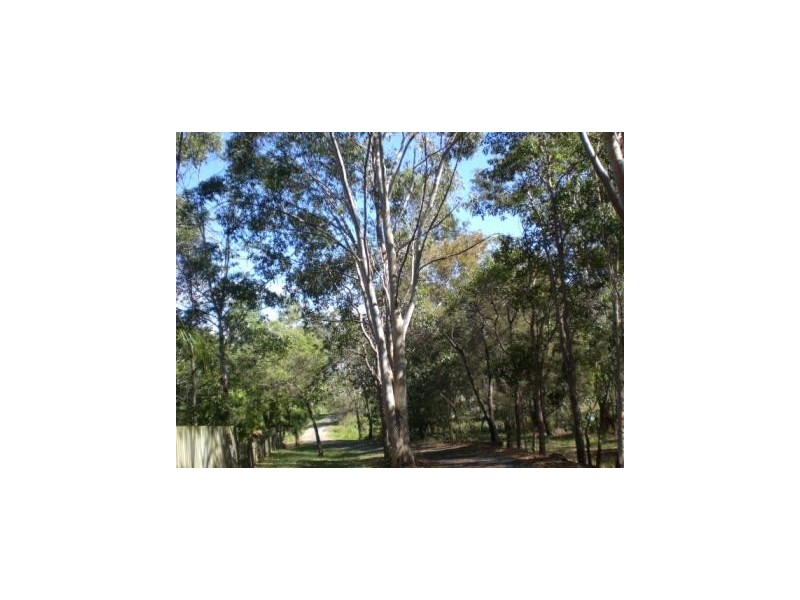 97  Petersen Road, Morayfield QLD 4506