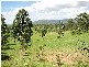21 SHAPLAND RD, Woodford QLD 4514