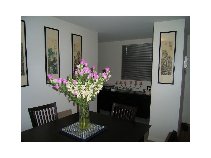 37/21   Love Street, Bulimba QLD 4171