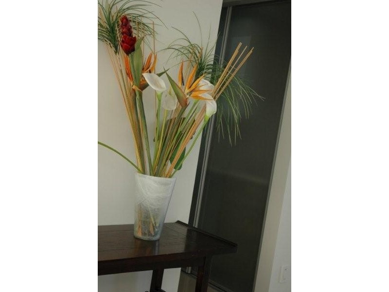 4/25 Princess Street, Bulimba QLD 4171