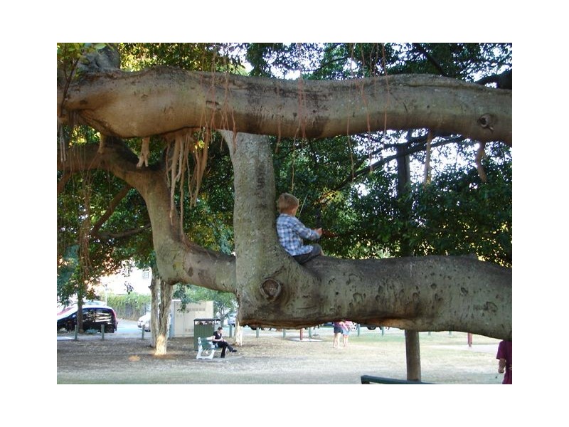 3/38 Apollo Road, Bulimba QLD 4171