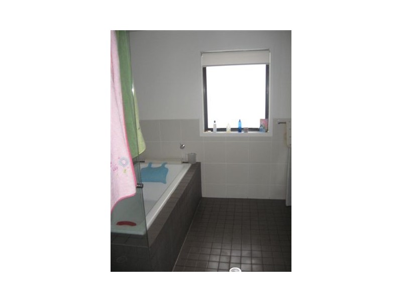 97 Stuart St, Bulimba QLD 4171