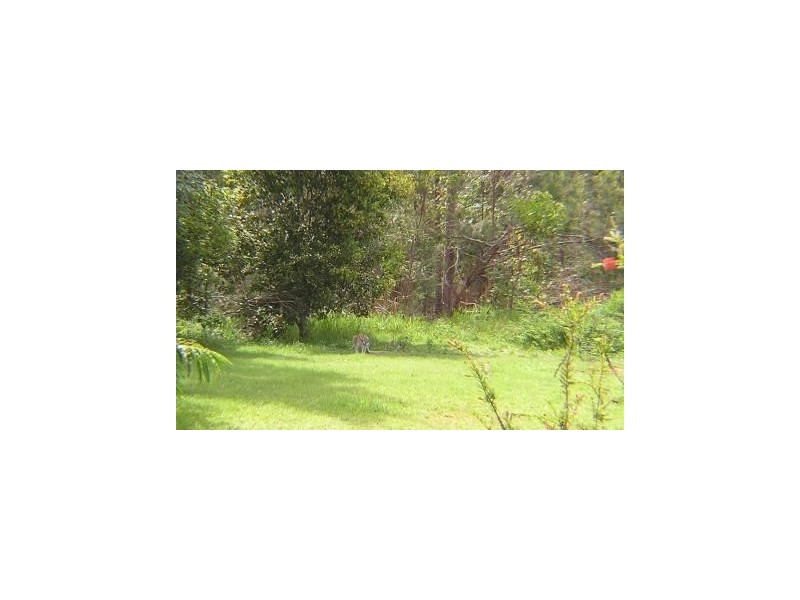 6 Black Gully Road, Tinaroo QLD 4872