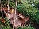 55 MURPHY STREET, Port Douglas QLD 4877