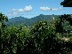 500 Crowsnest Terrace, Trinity Beach QLD 4879