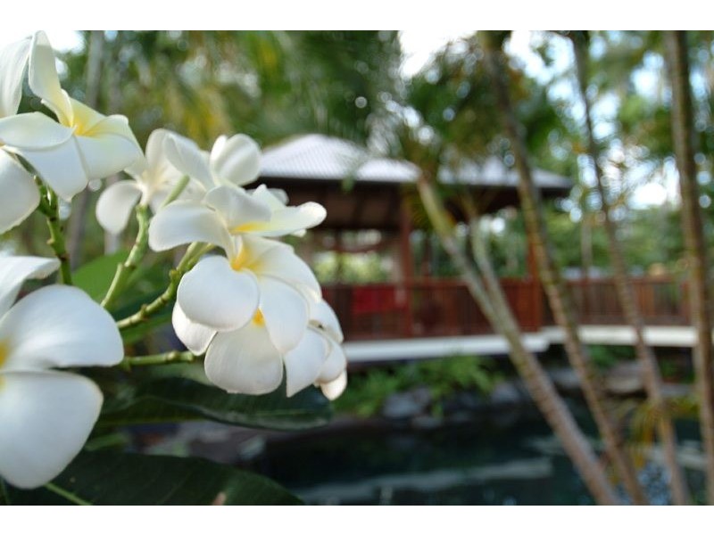 9 Sonata Close, Port Douglas QLD 4877