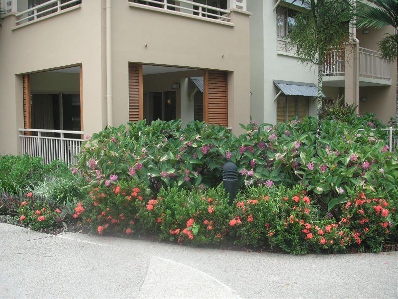 815 / 49 – 63  WILLIAMS ESPLANADE, Palm Cove QLD 4879