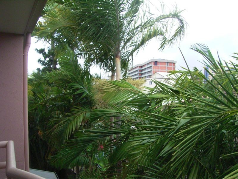 13/262  Grafton Street, Central Park Apartments, Cairns QLD 4870