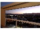 Apt. 14N  209 Abbott St, Cairns City QLD 4870