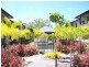 APT. 14 / 12 Oyster Court, Trinity Beach QLD 4879
