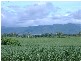 1  Pine Creek Rd Green Hill, Gordonvale QLD 4865