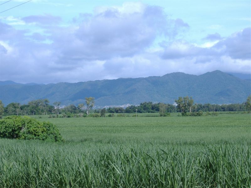 1  Pine Creek Rd Green Hill, Gordonvale QLD 4865