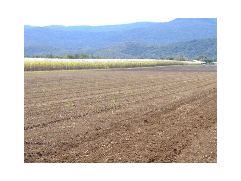 1  Pine Creek Rd Green Hill, Gordonvale QLD 4865