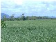1  Pine Creek Rd Green Hill, Gordonvale QLD 4865