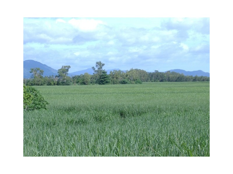 1  Pine Creek Rd Green Hill, Gordonvale QLD 4865