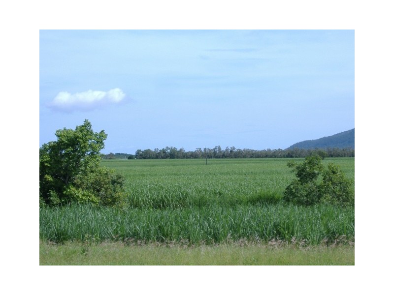 1  Pine Creek Rd Green Hill, Gordonvale QLD 4865