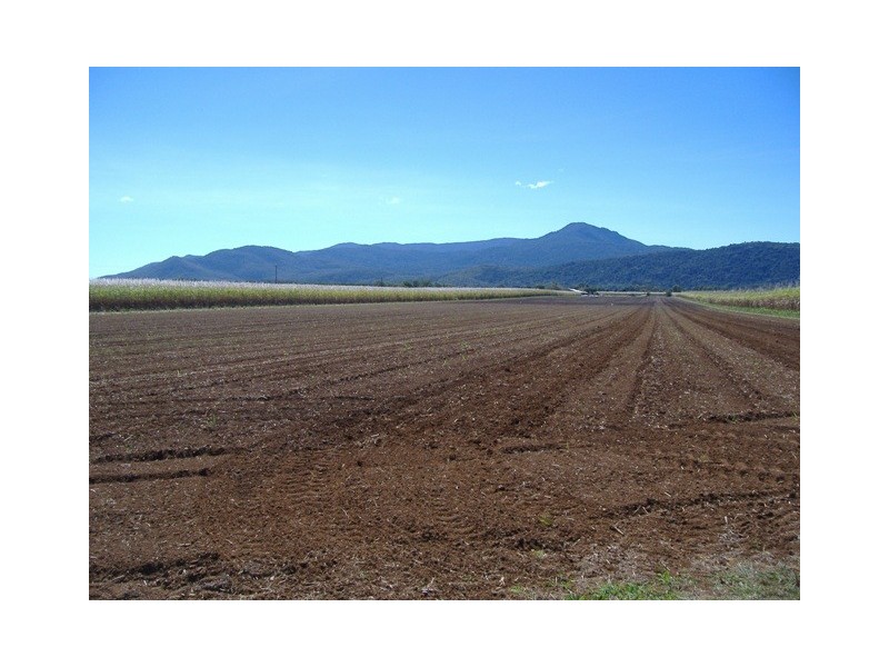 1  Pine Creek Rd Green Hill, Gordonvale QLD 4865