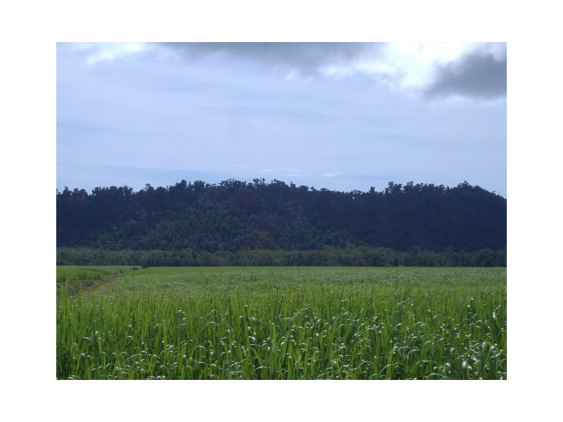 40 Barbagallo Rd, Aloomba QLD 4871